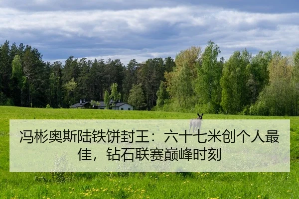 feng-bin-ao-si-lu-tie-bing-feng-wang-liu-shi-qi-mi-chuang-ge-ren-zui-jia-zuan-shi-lian-sai-dian-feng-shi-ke-2-153.jpg