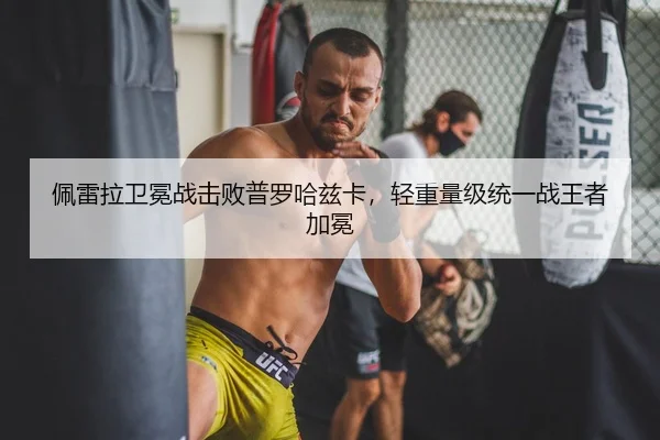 佩雷拉卫冕战击败普罗哈兹卡，轻重量级统一战王者加冕